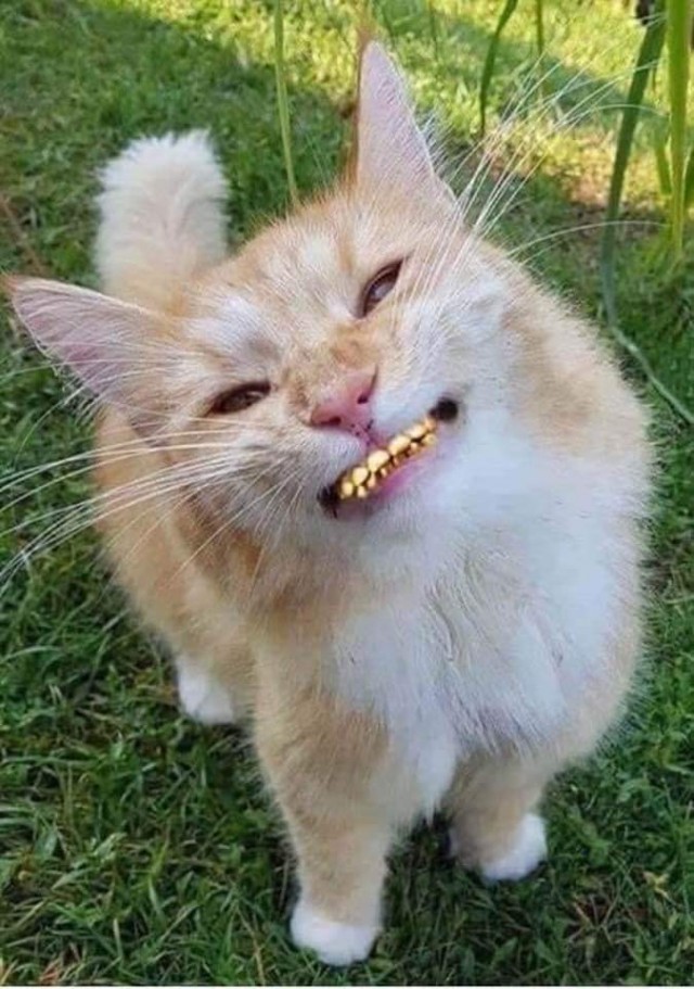 Женское насилие в семье