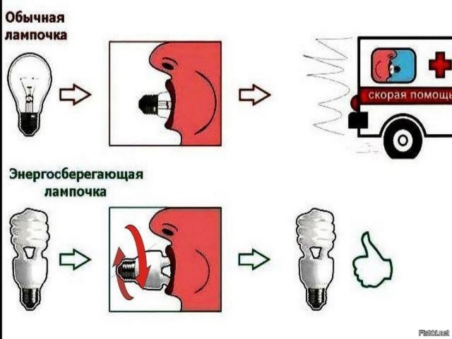 Лампочка Дарвина