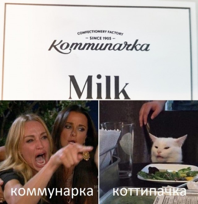 Весёлый полтишок 25.06.