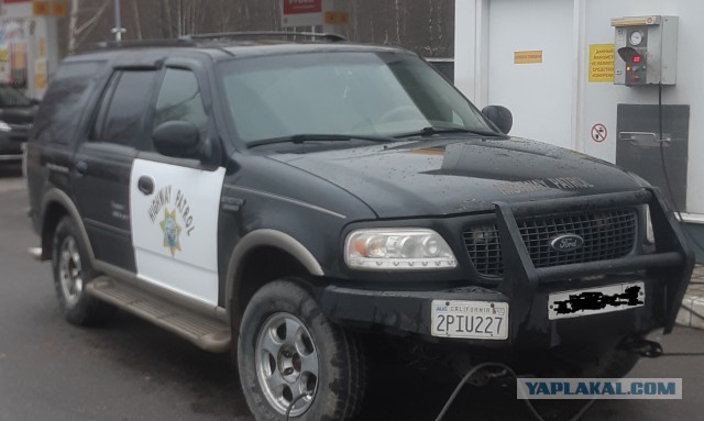 В Эстонии возбудили уголовное дело в отношении девушки за раскраску тачки в цвета российской ДПС
