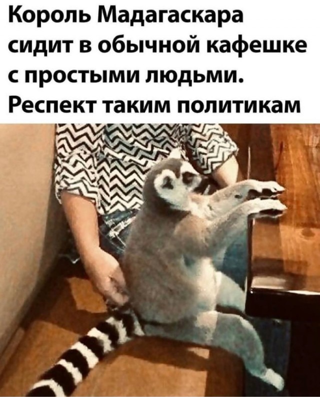 Картинки и мемы для настроения 04.08.2021