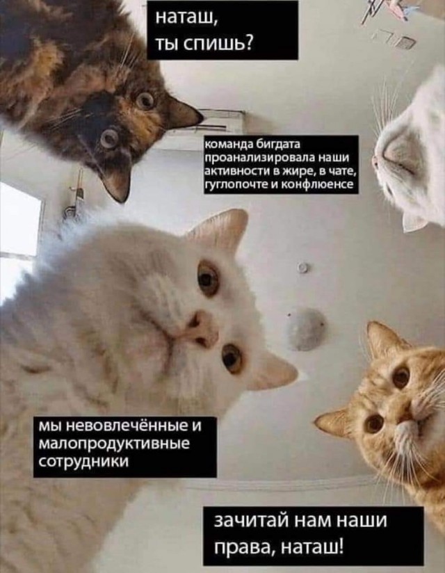 Мемасы (Пошлятина в основном)