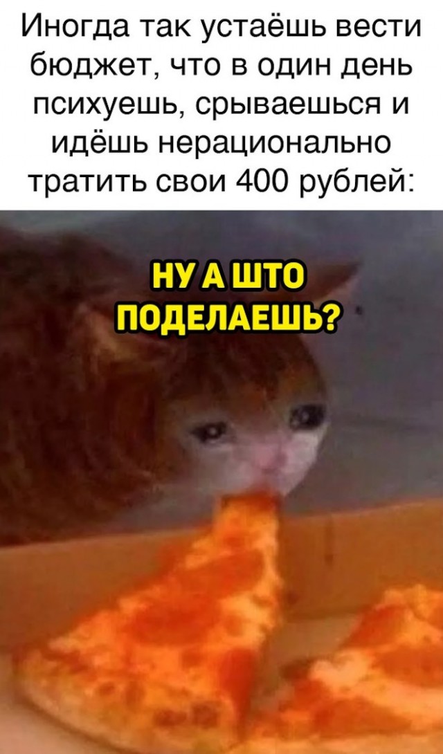 Весёлый полтишок 10.08