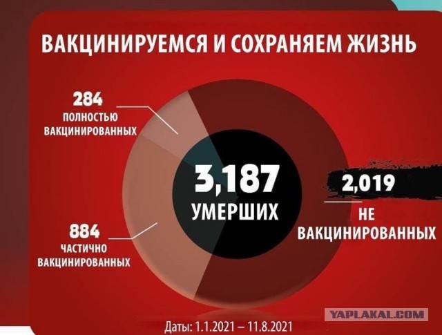 Пандемия. Коронавирус. Россия и мир. Последняя информация. Часть 24