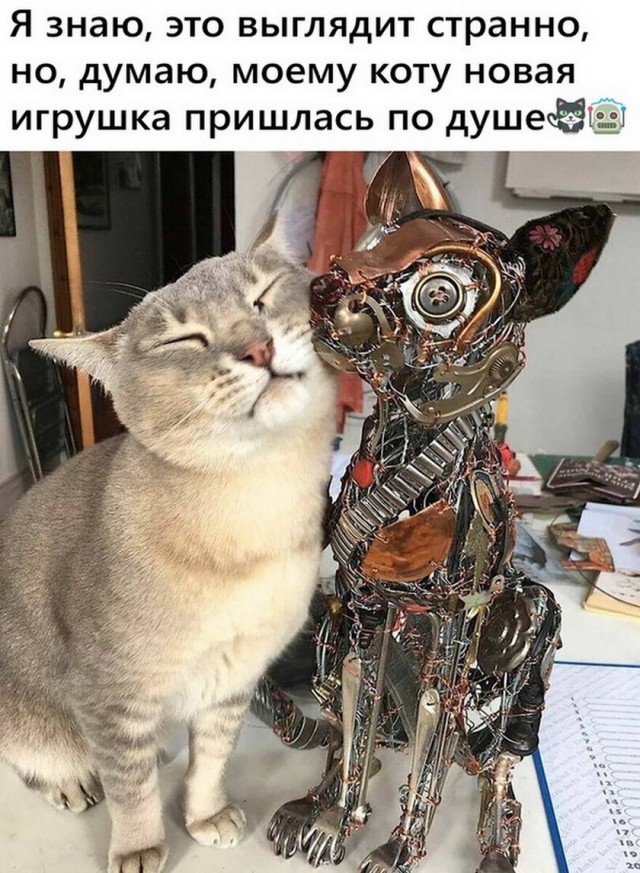 Картинки и мемы для настроения 003