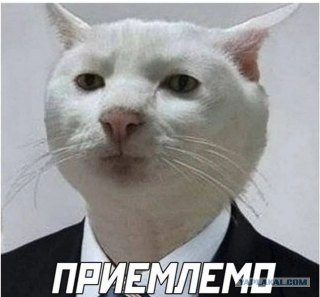 Интрига. Быть ли новому УАЗ Патриот?