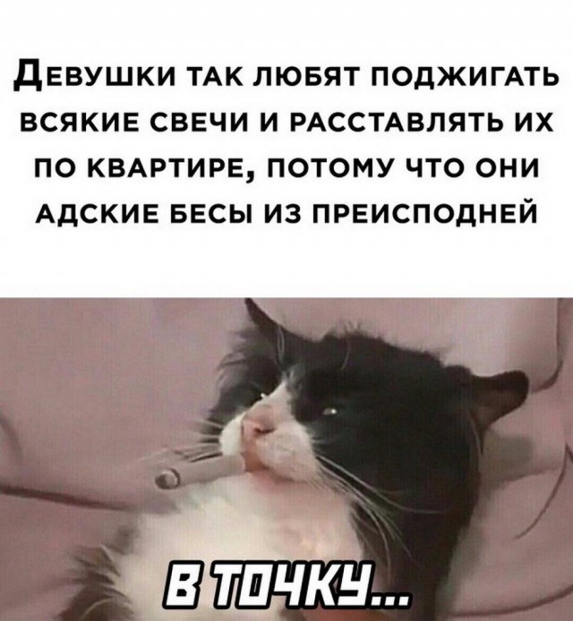Картинки и мемы для настроения 09.06.2021
