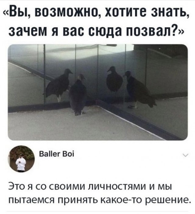 Картинки и мемы, всем прекрасных выходных