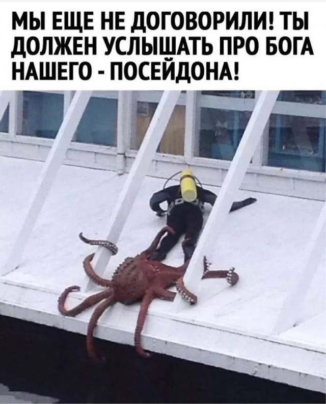 Так себе картинки 28.10.21