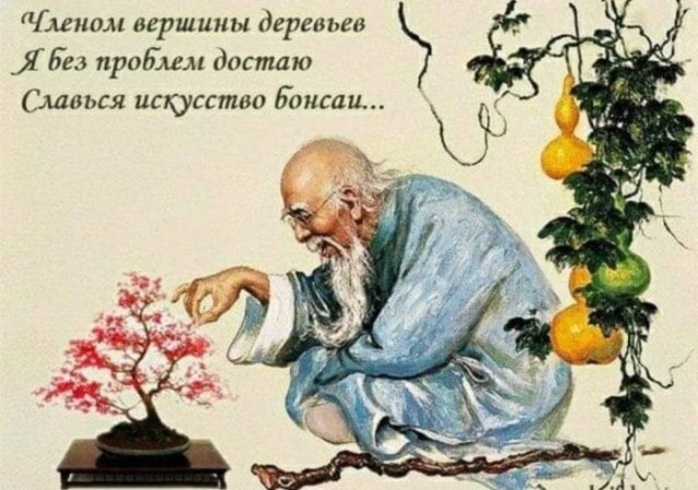Месево из картинок, поулыбаться или тупо пофтыкать
