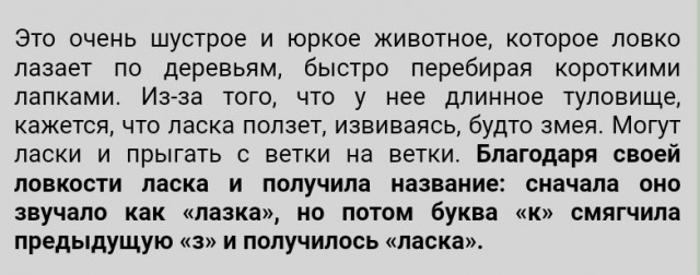 Жительница Зеленограда шла на работу и засняла охоту ласки на крысу
