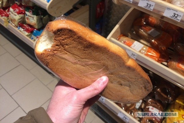 Попробовал сыр