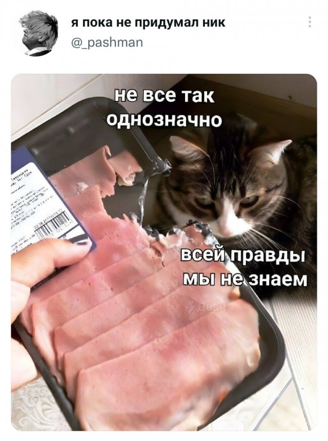 Пандемия. Коронавирус и съехавшие крыши. Россия и мир. Часть 32.