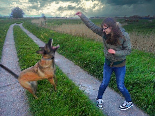 Фотожаба: Девочка с собачкой