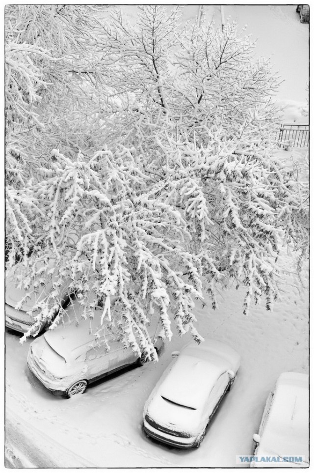 Фото весеннего розыгрыша погоды)