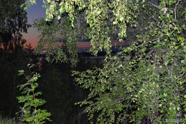 Отдых по-русски.