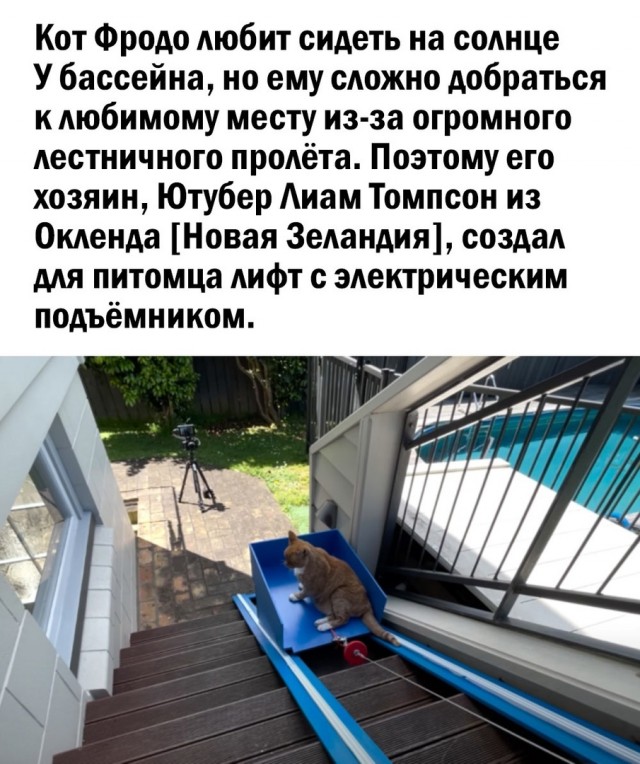 Так себе картинки 26.08.22