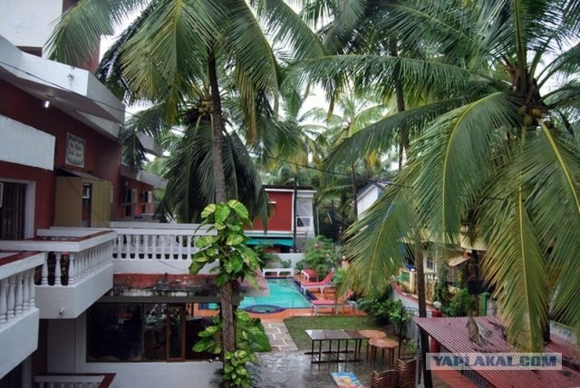 ГоА свои впечатления