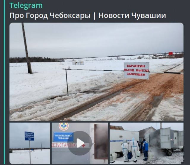 Победная поступь идиотизма по планете – том 10