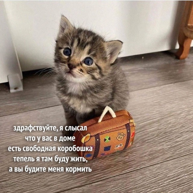 Картинки и мемы, всем хороших выходных