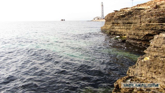 Крым в феврале или "Не стреляйте в белых лебедей!"