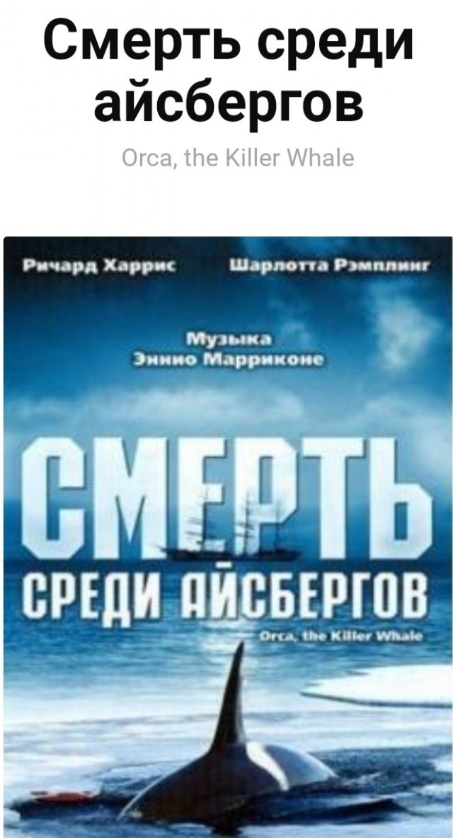 Косатки просто проходят мимо двух плавающих детей