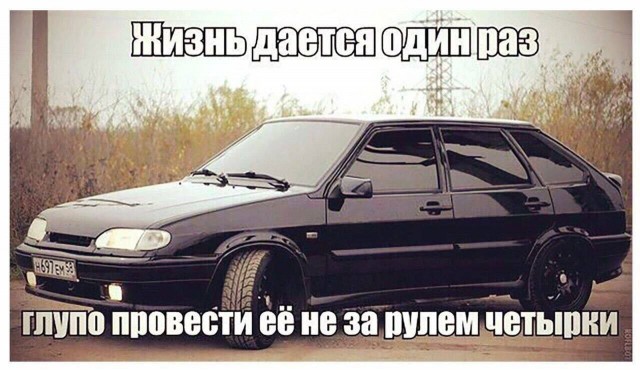 Весёлый полтишок 19.07.23