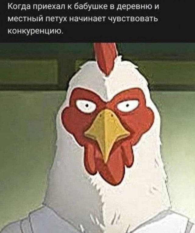 Всего понемногу. От 12.08