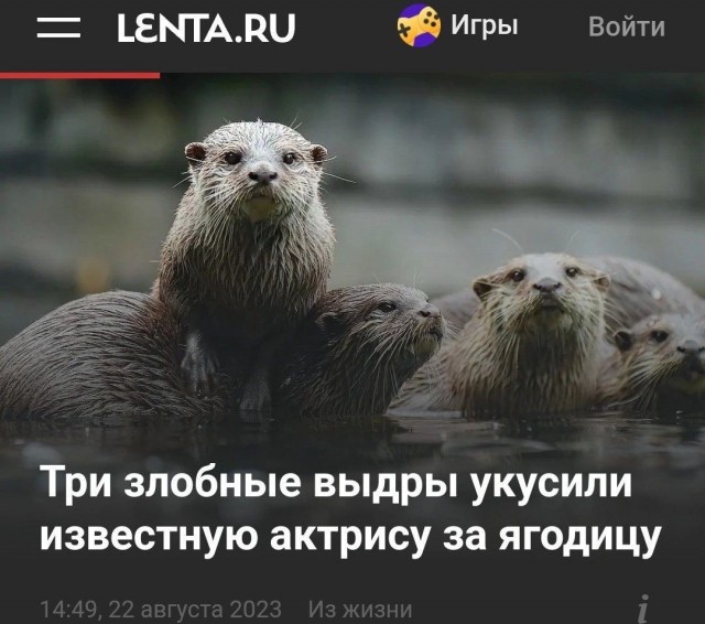 Отряд быстрого деградирования
