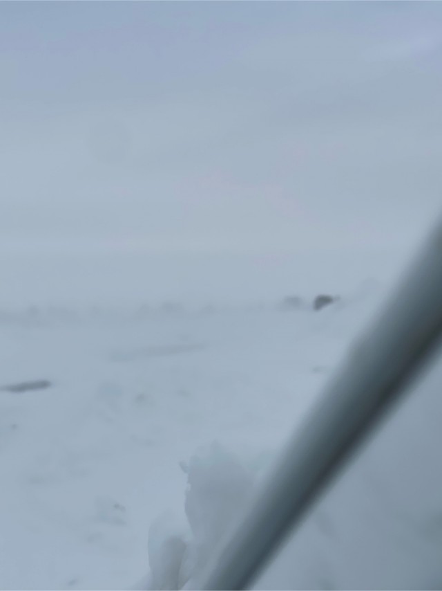 Метель. Самара