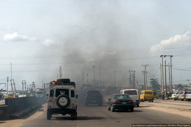 Только крокодилы спасут эту страну от мудаков!