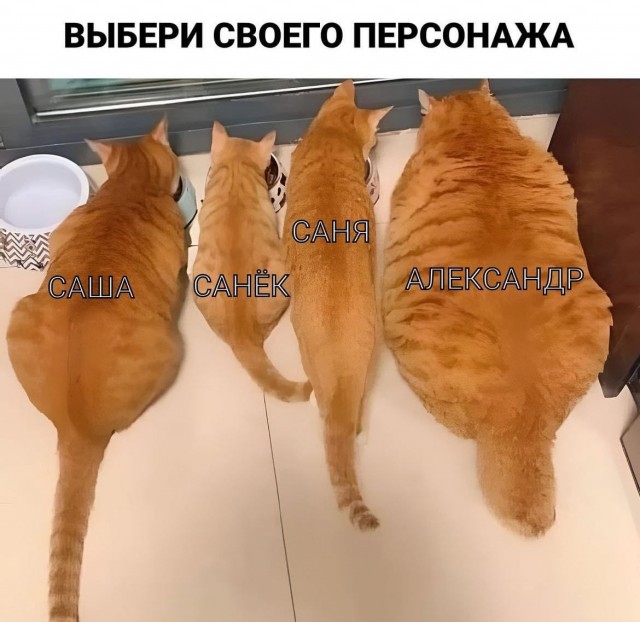 Завалялось тут случайно немного забавных картинок