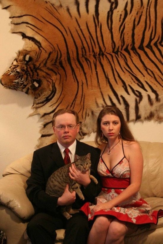 Котовторник в картинках