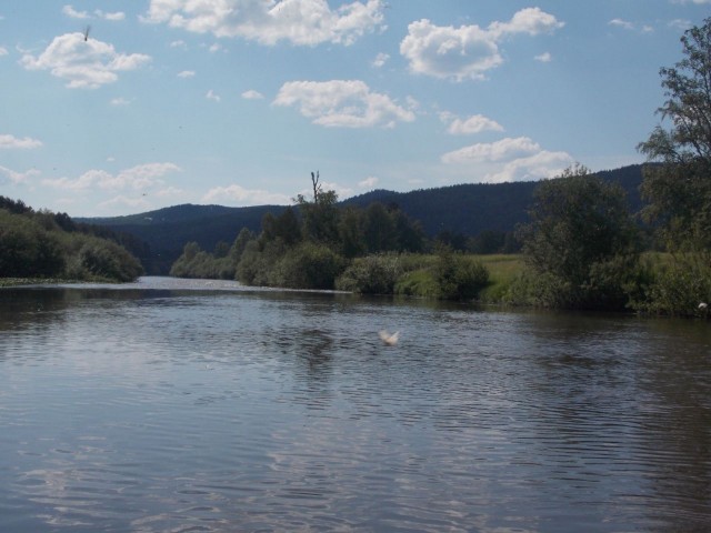 Сплав по Белой реке