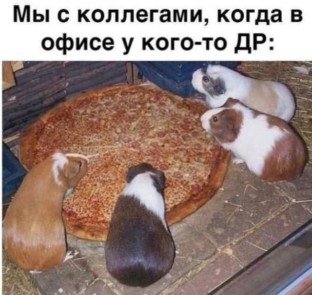 Завалялось тут случайно немного забавных картинок