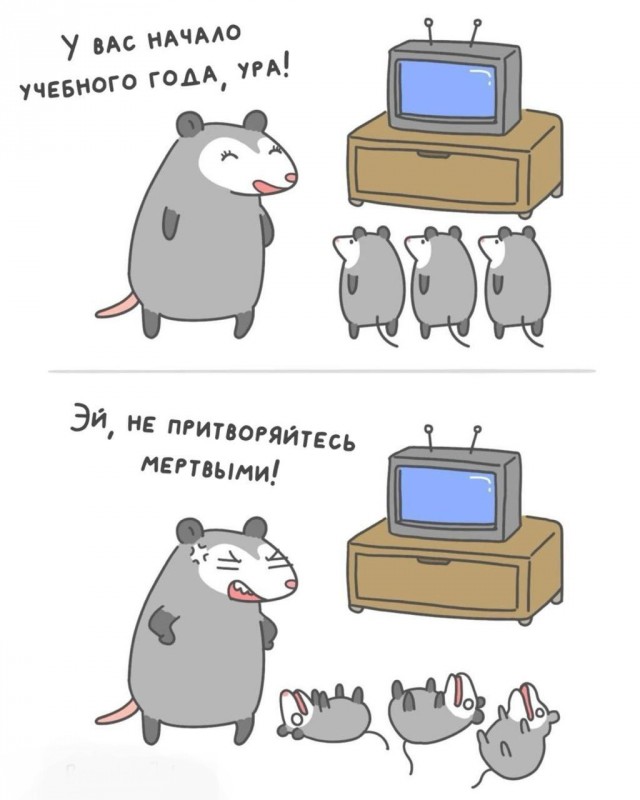 Всего понемногу. От 03.09.24