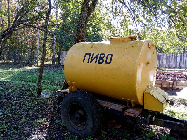Пушкинские Горы. В доме Довлатова