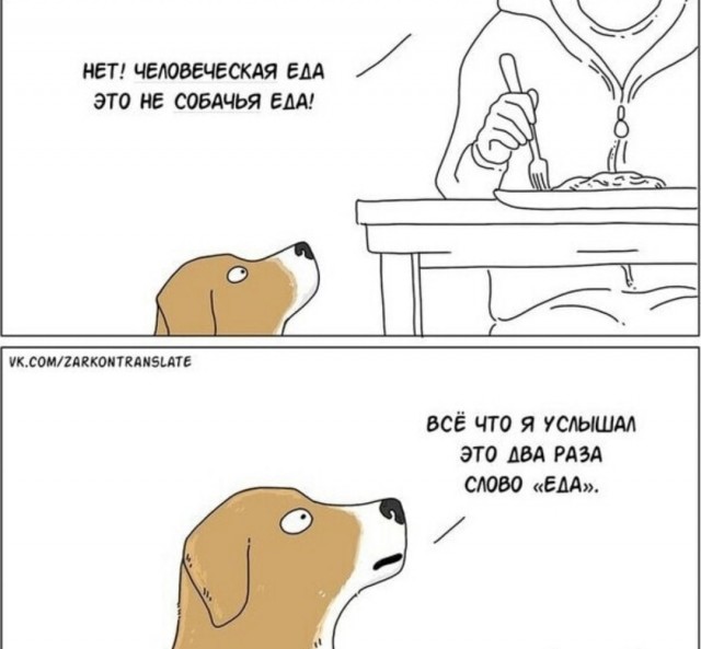 Картинки разные с надписями и без