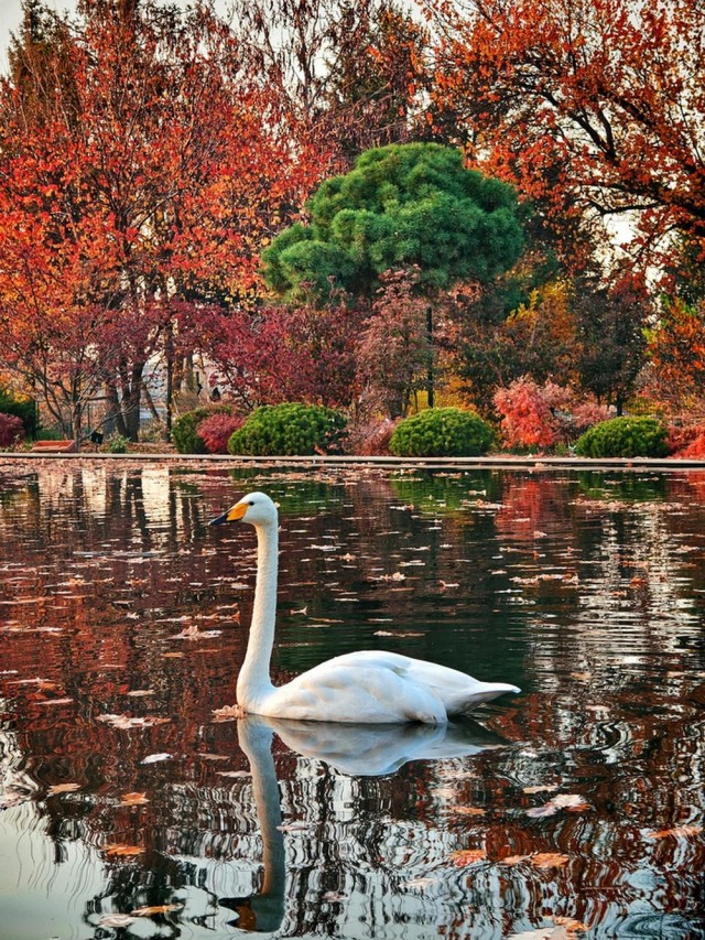 Прикольные и просто красивые картинки 04.12.2024