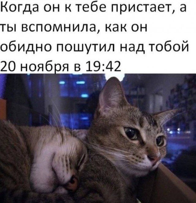 Картинков разных вам