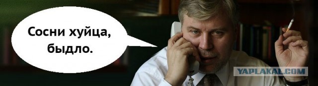 Хакеры против интернет-цензуры