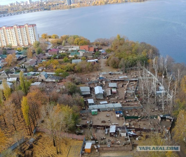 Зоошиза в атаке