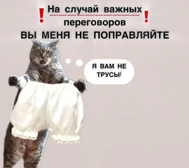 Завалялось тут случайно немного забавных картинок