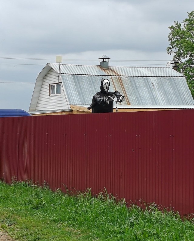 «Если старики пойдут рядом, можно и за сердечко хватануться». Огородные пугала нагнали страху в Кировской области