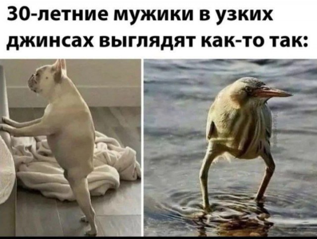 Картинки для деградации 33 (разной степени свежести)