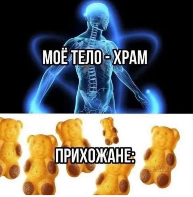 Весёлый полтишок 08.09.25