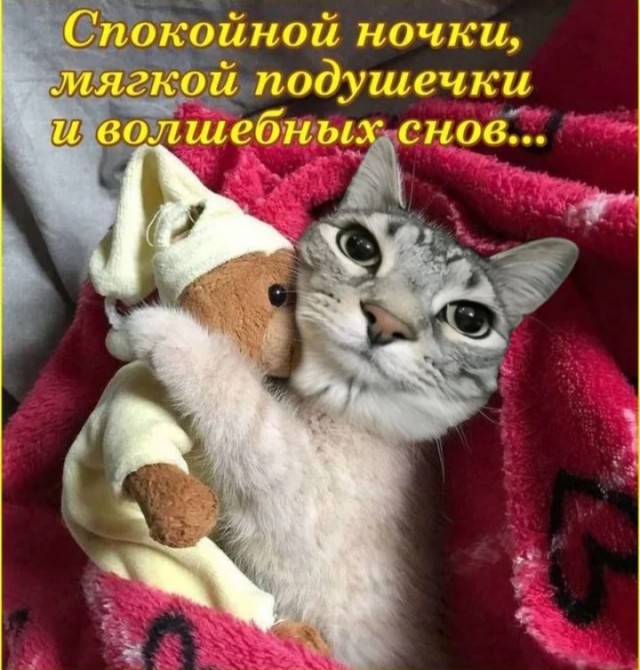 Просто лайтовая дичь