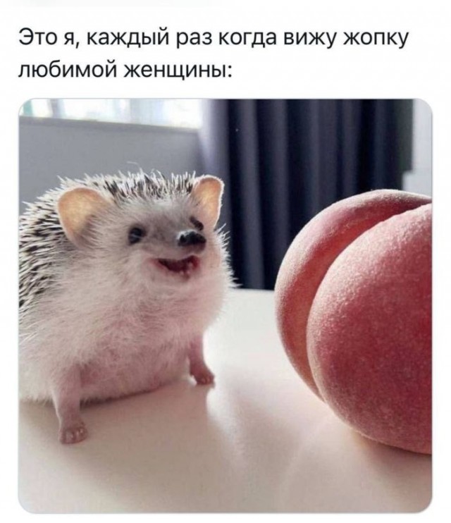 Картинки для деградации 49 (разной степени свежести)