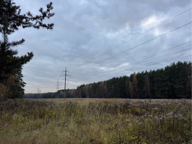 Осень