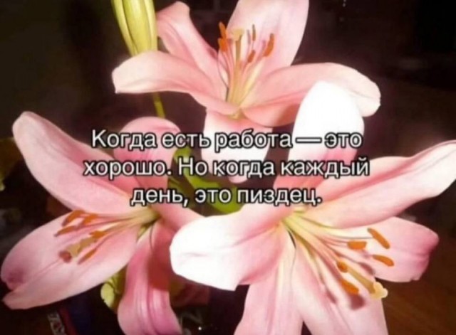 Небаянистая деградация 5